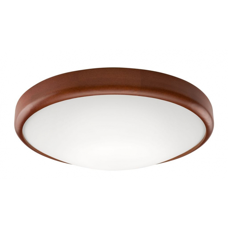 Plafoniera ANELLO pin rustic 2x60W E27, sticla